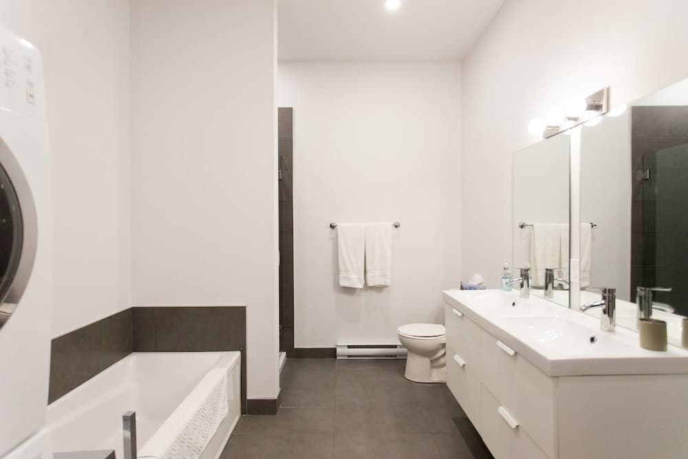 Amazing Plateau Loft Steps Away From Mount-royal