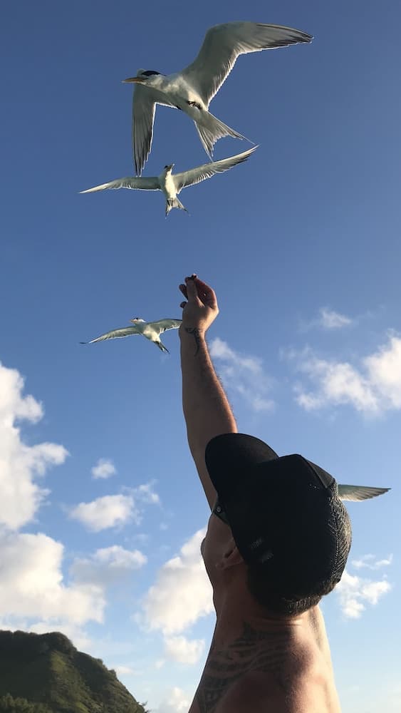 Fare Club - Moorea