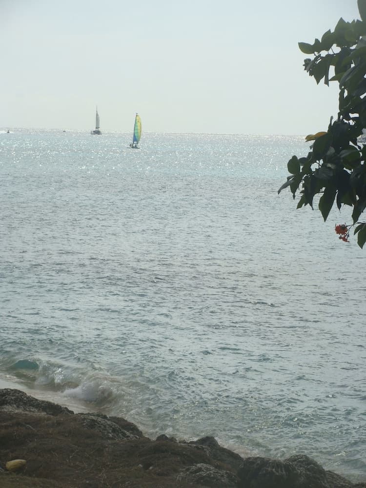Coral Lane Beach Apartments