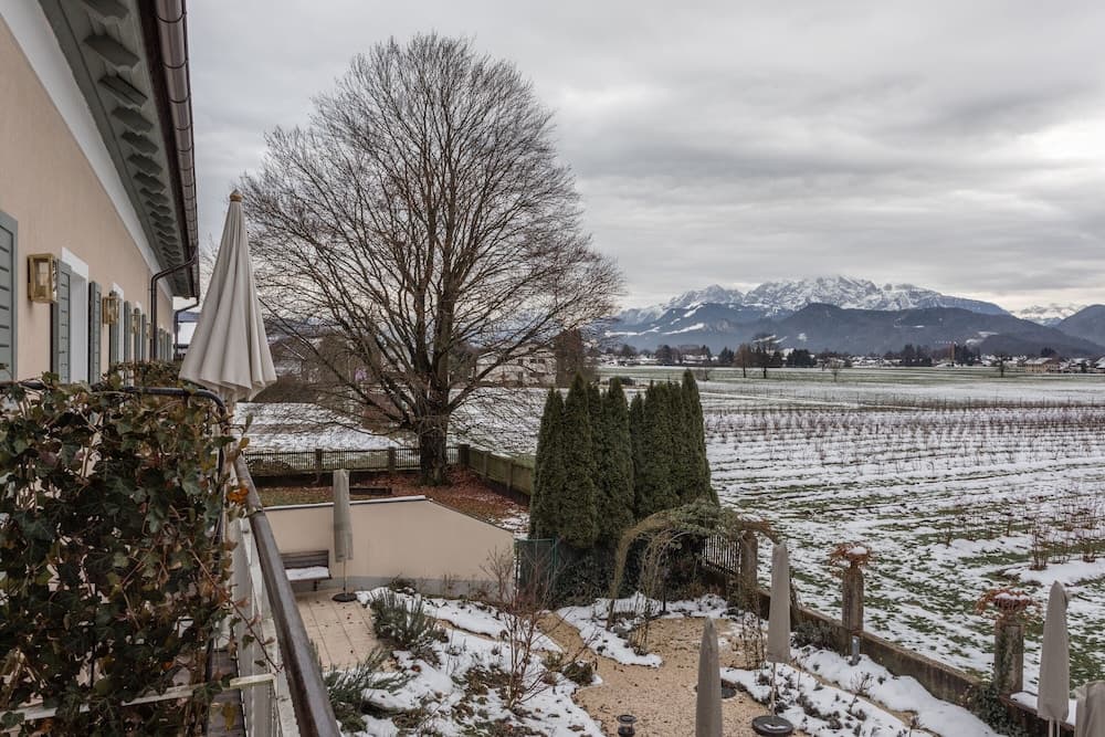 Numa Salzburg Ivy