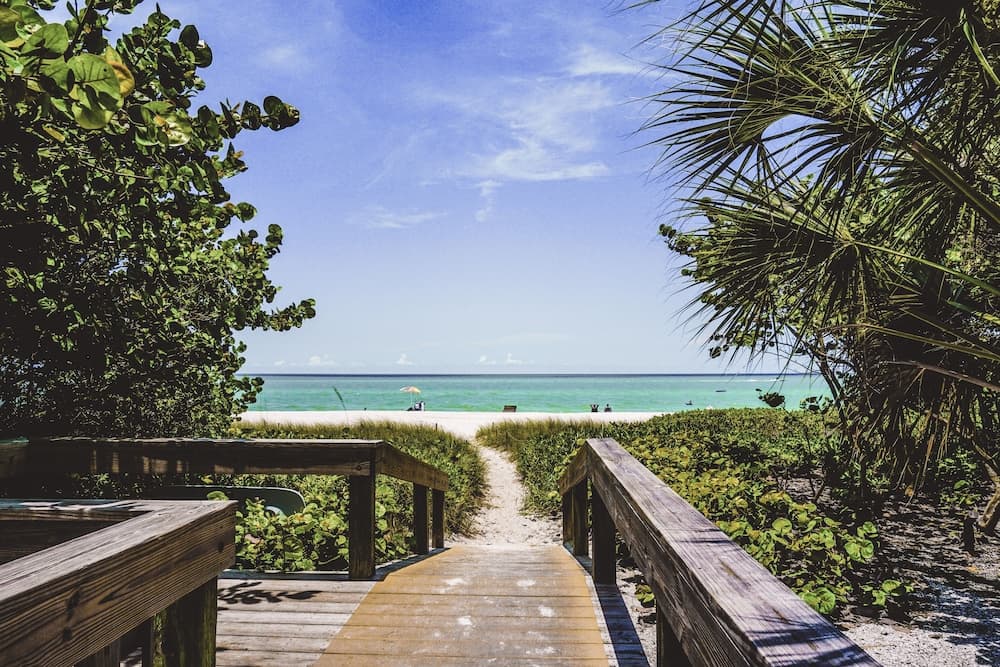 Ormond Paradise
