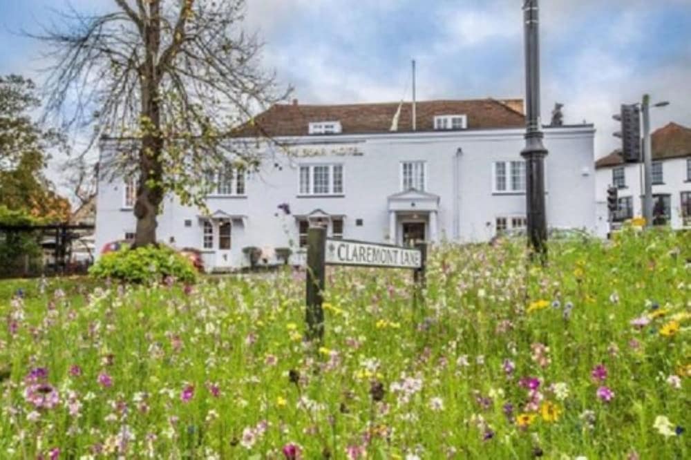 The Bear Hotel