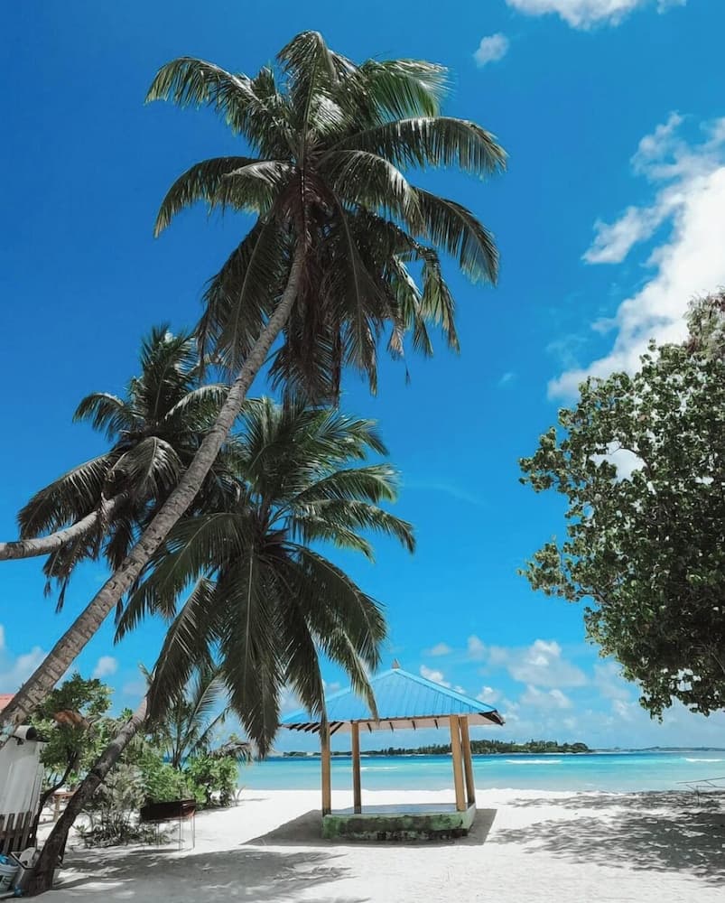 Noah Private Beach House