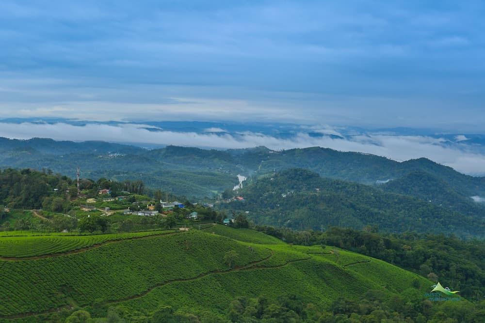 Misty Mountain Resort