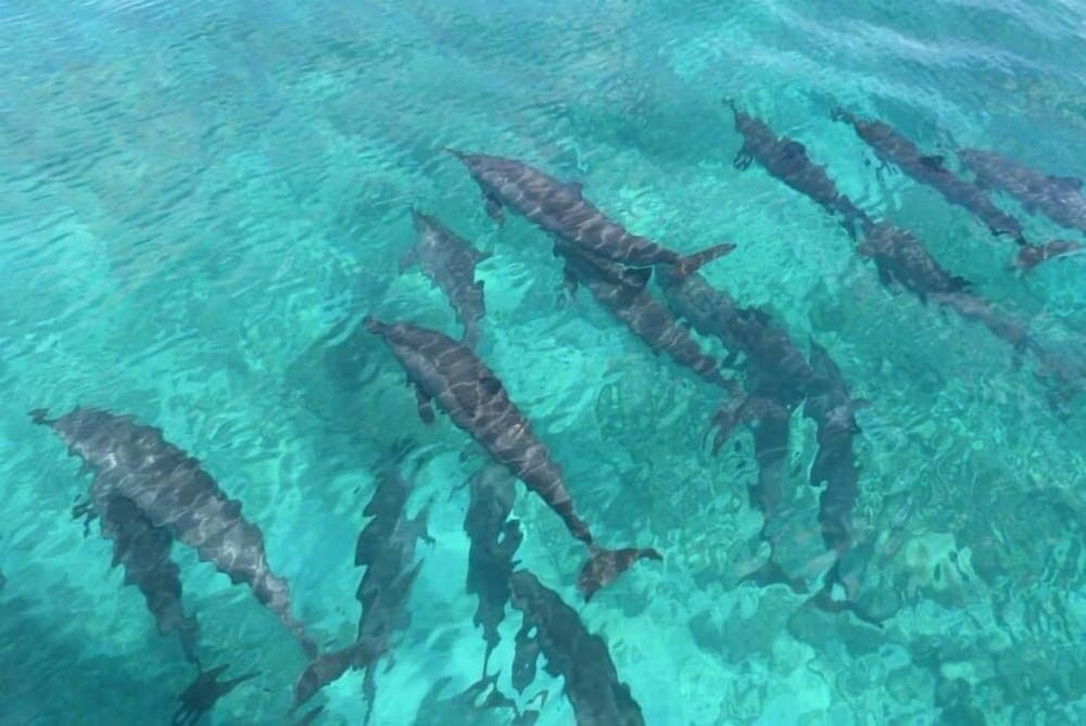 Fanhaa Maldives