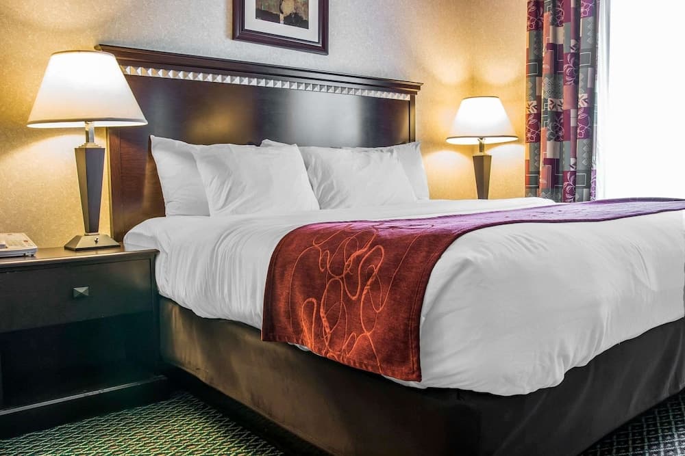 Comfort Suites Canton - Detroit