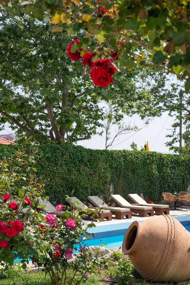 Aeolos Hotel & Villas -Pelion