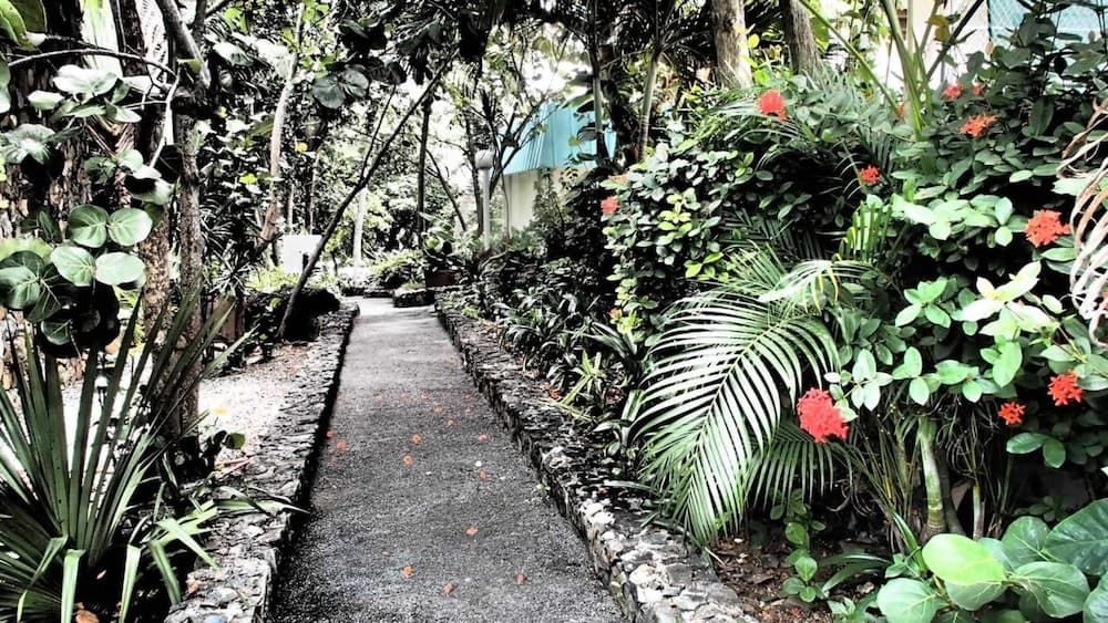 Flamboyan on the Bay Resort and Villas