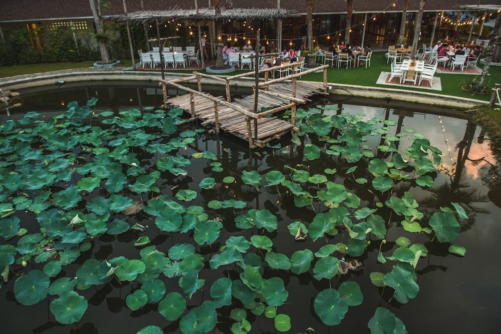 Naina Resort & Spa