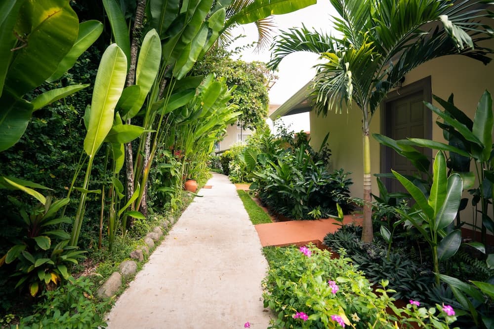 La Mariposa Hotel