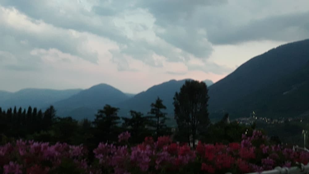 Hotel Garni Lux