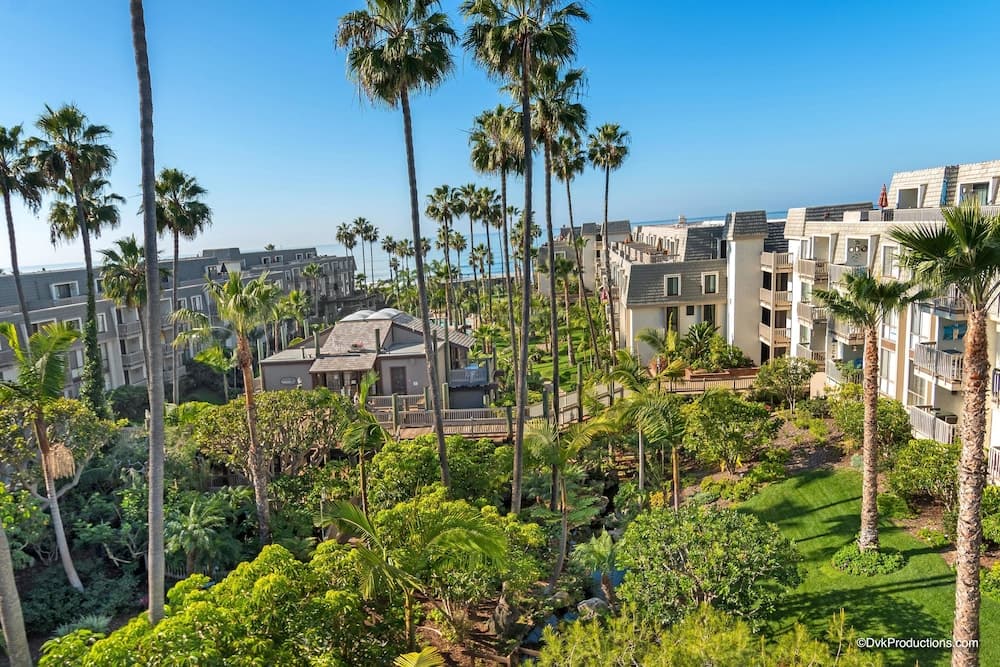Pacific Palms