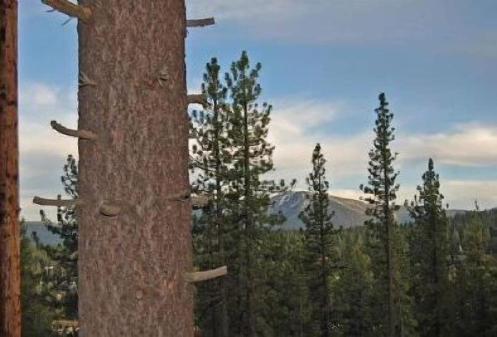 Tahoe Stoneridge