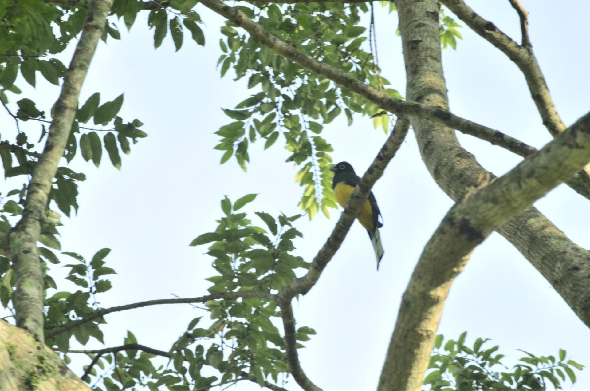 Tierra Alta Ecolodge