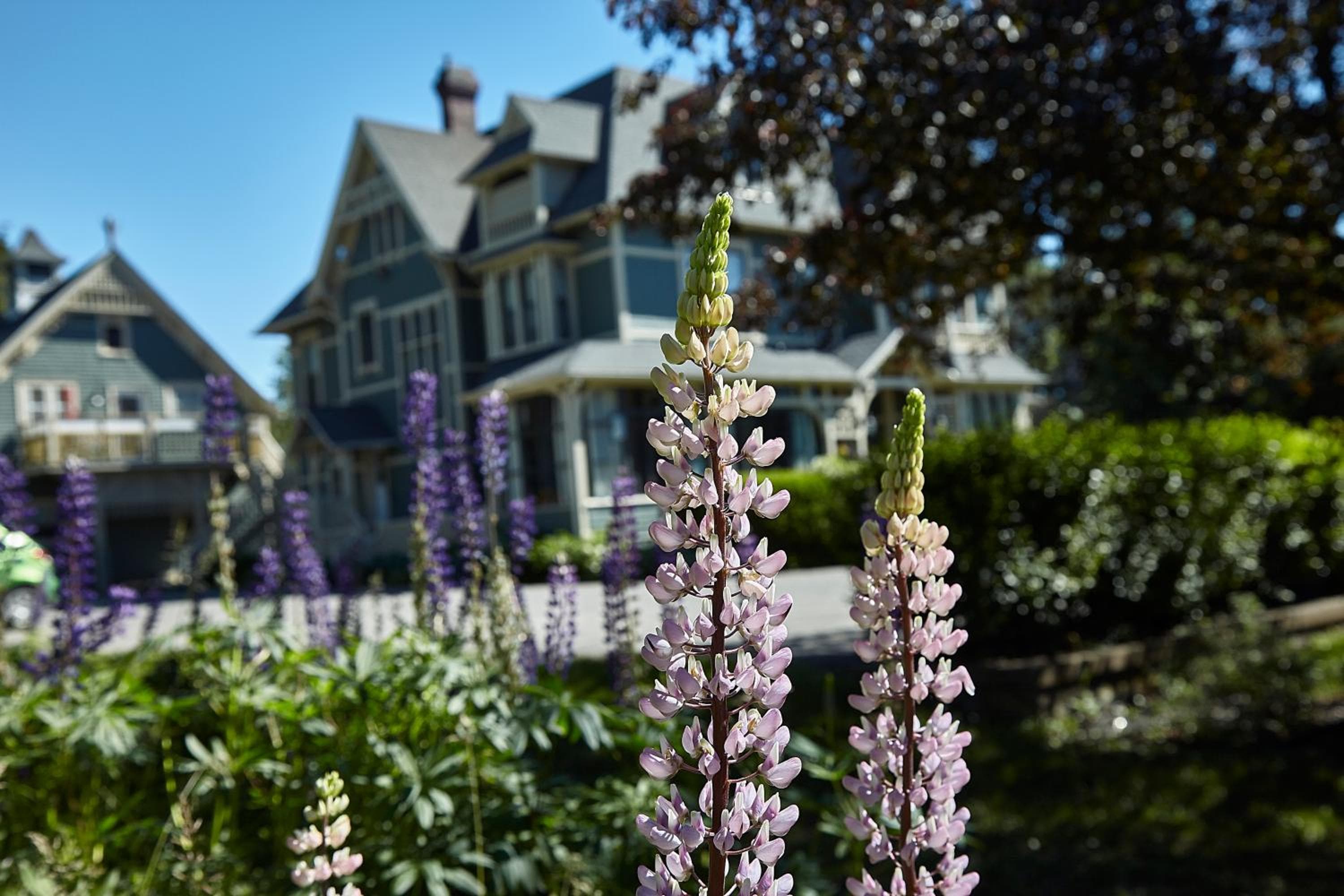 Victoria's Historic Inn