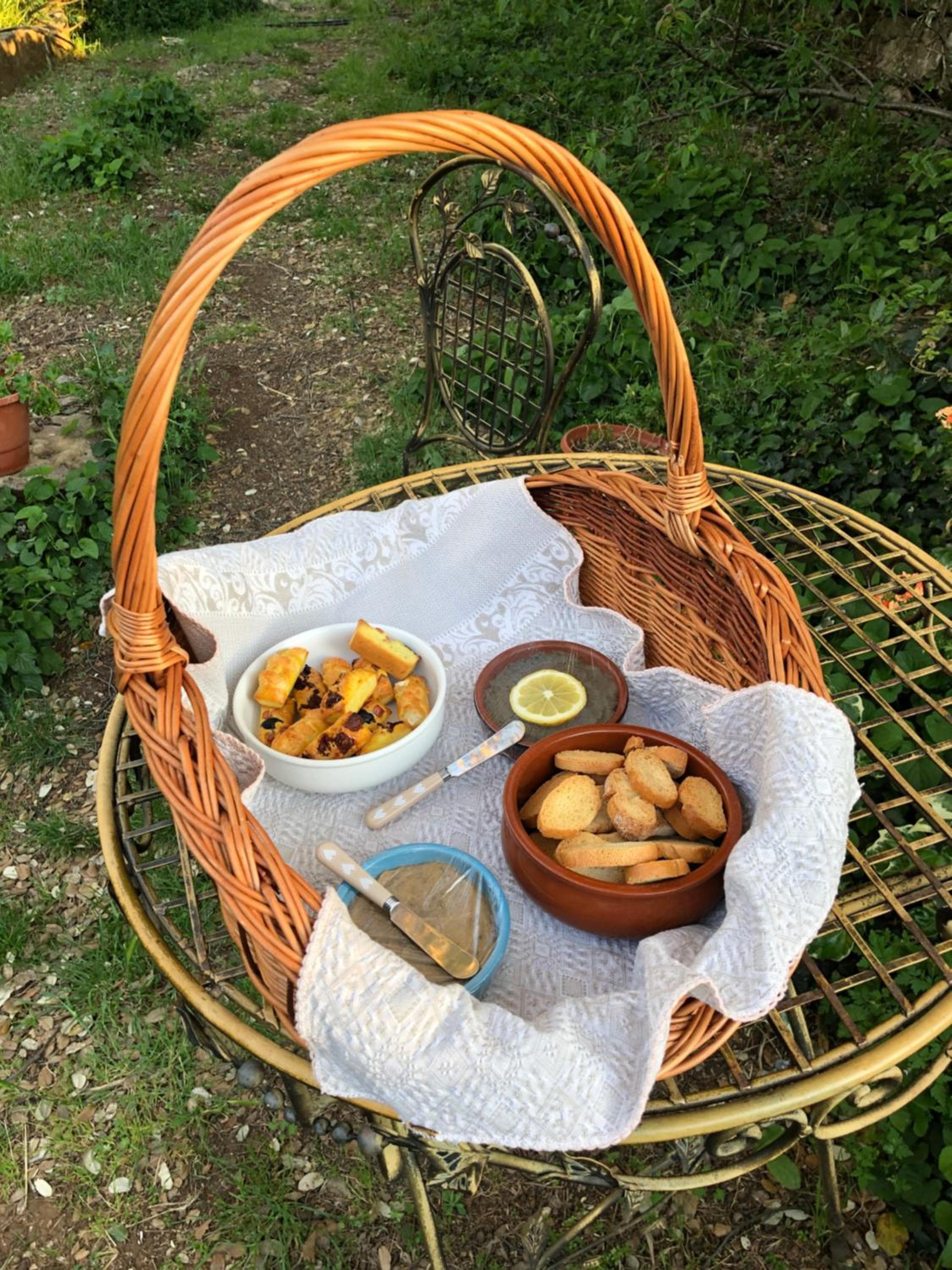 Les insolites de Taracopala