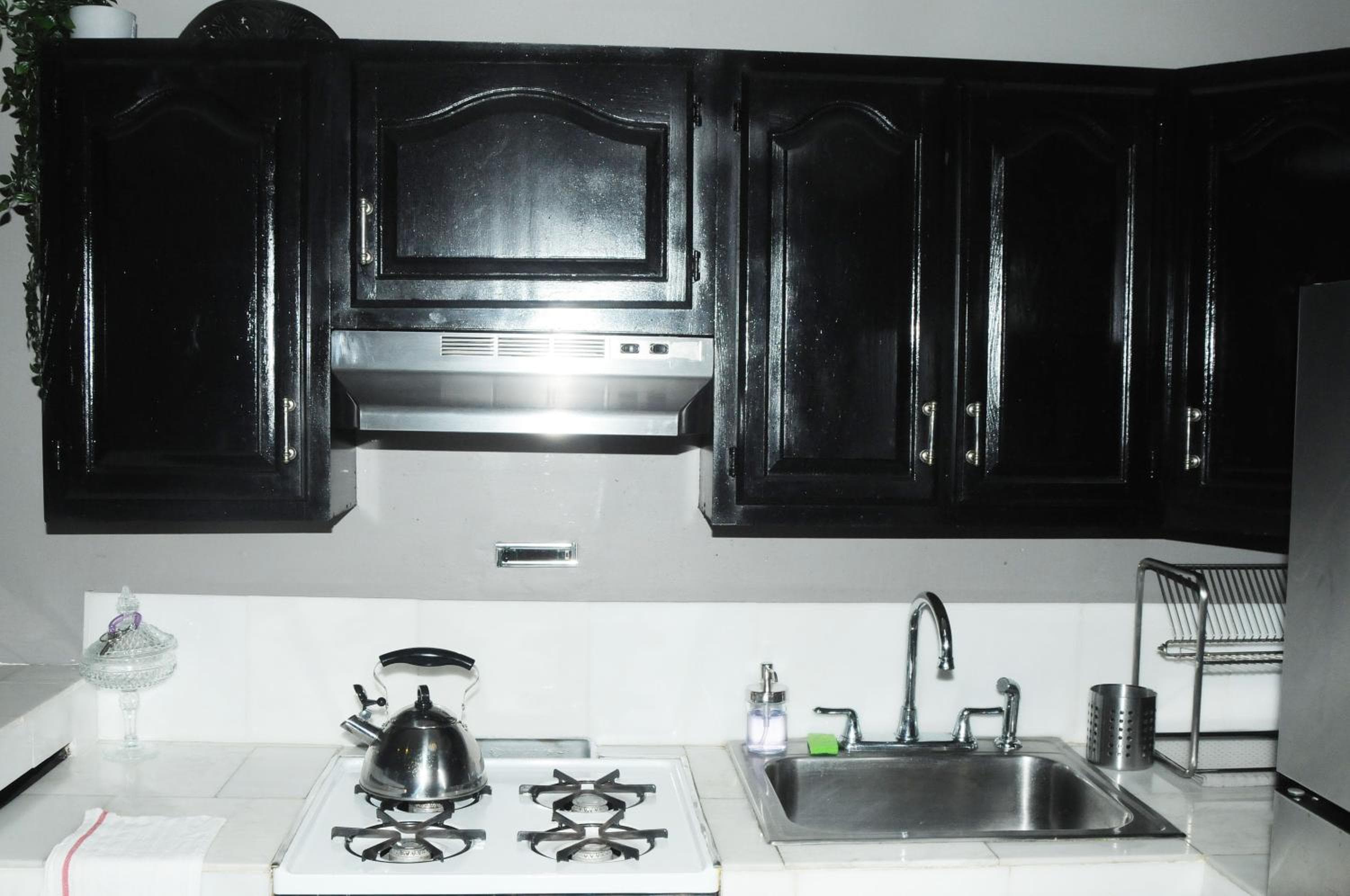 Plush Spacious 1 bedroom apt Williamsburg