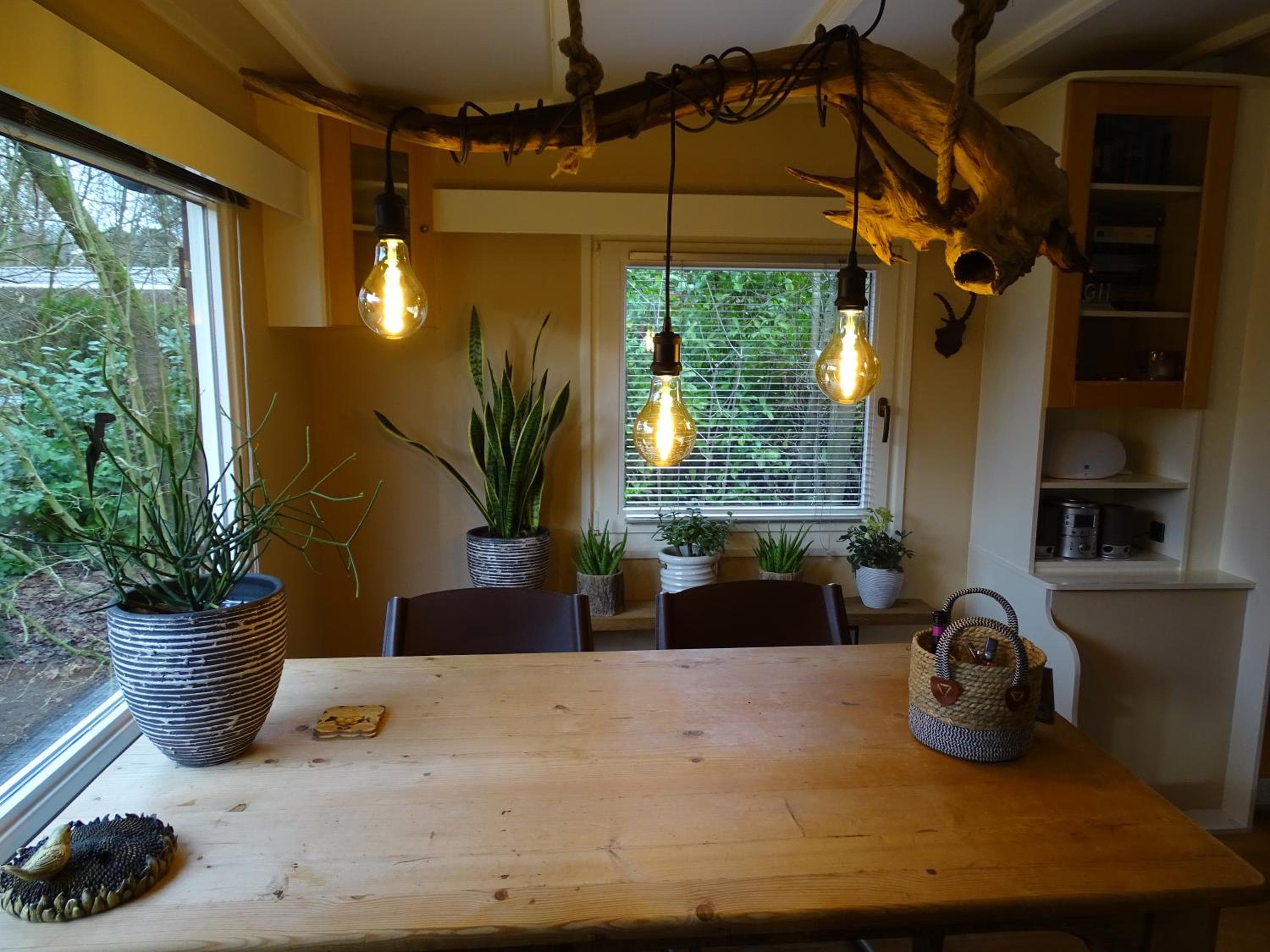 vakantiehuis op de veluwe
