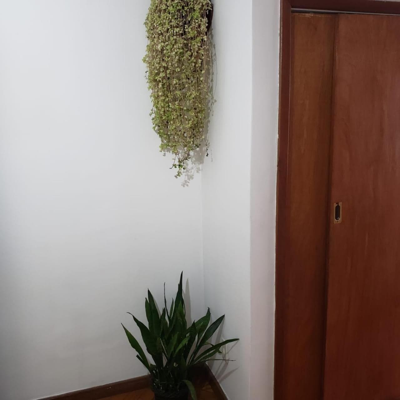 Loft no CENTRO DO RIO DE JANEIRO em frente ao VLT e metrô