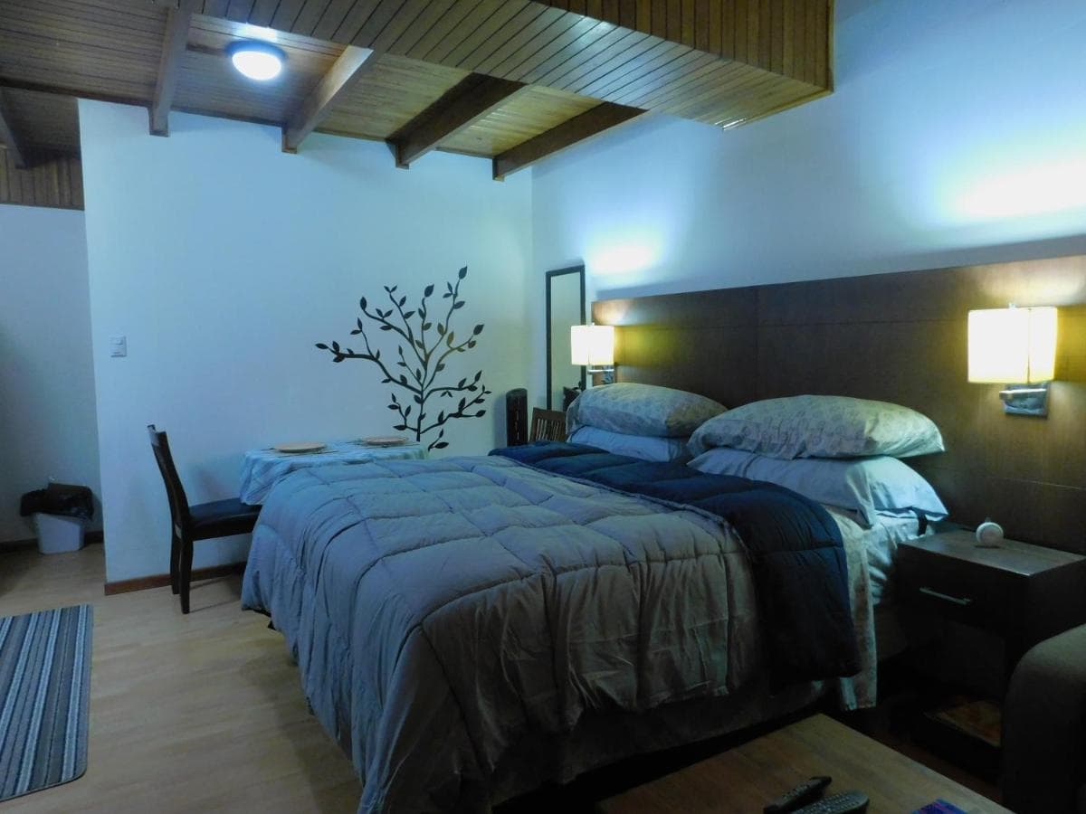 Modern Studio Loft Apt King Bed 10 min frm airport