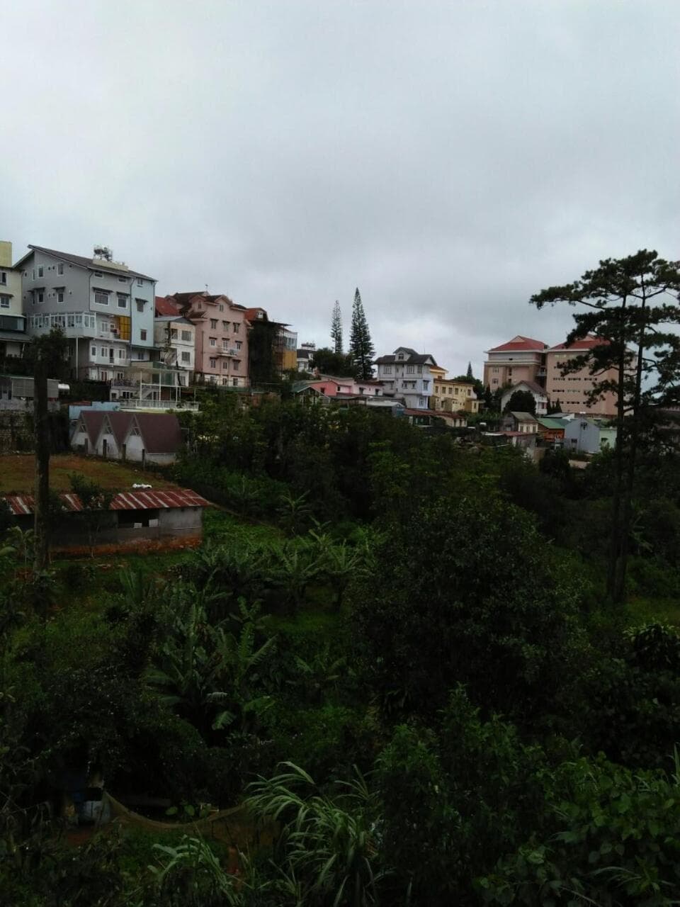Nhà của Sóc