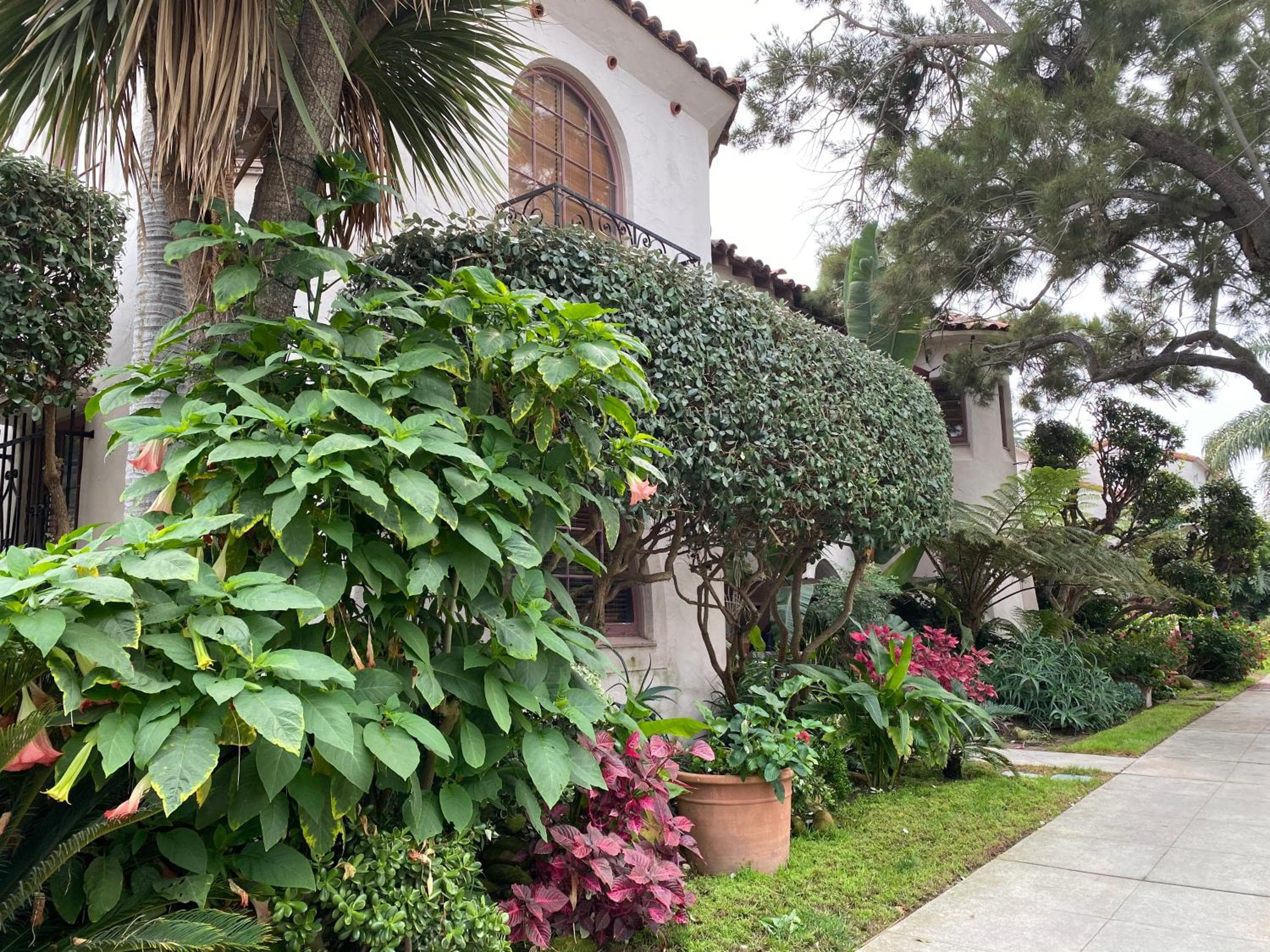 Villa Rosa Inn