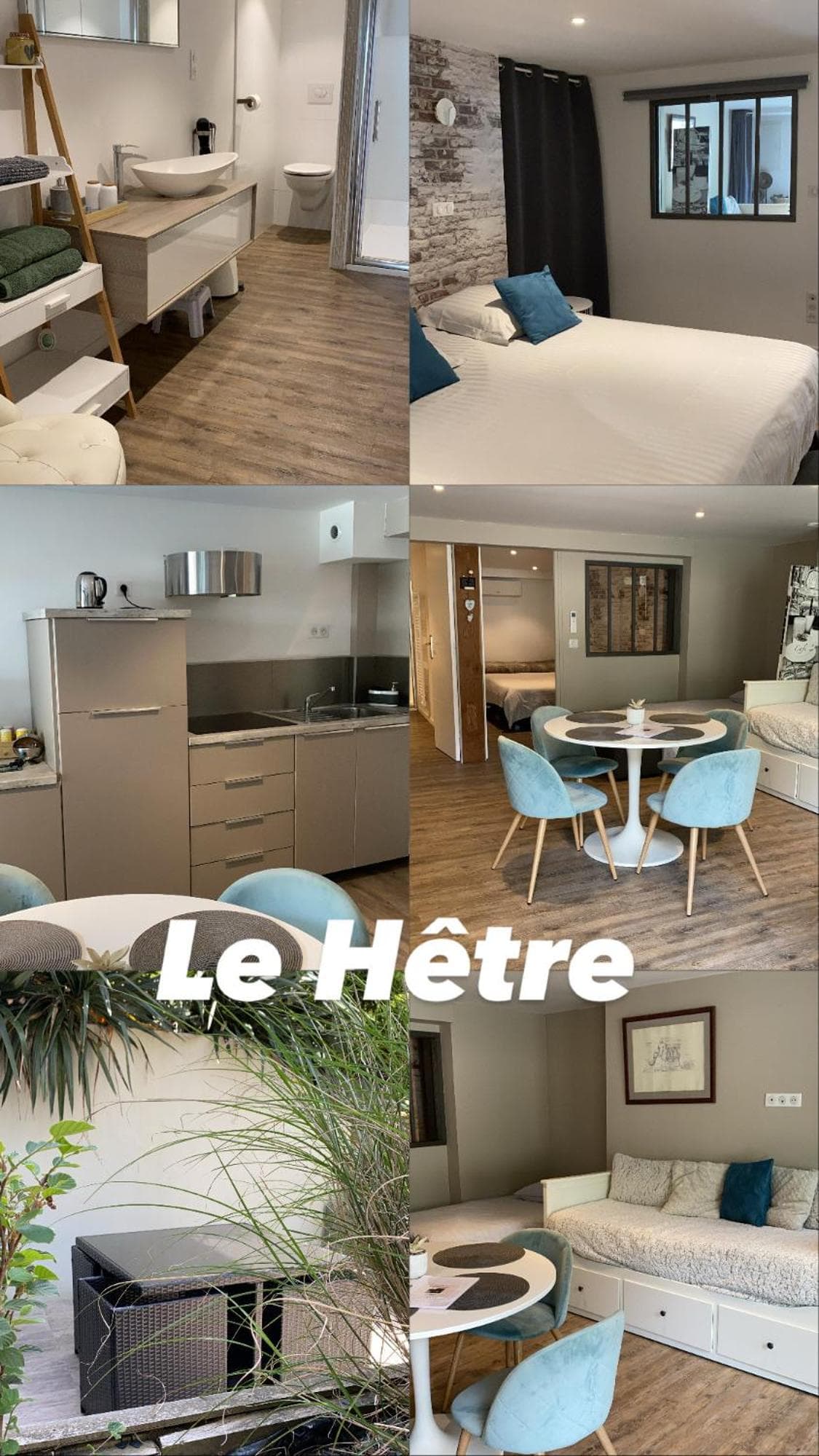 L'hetre