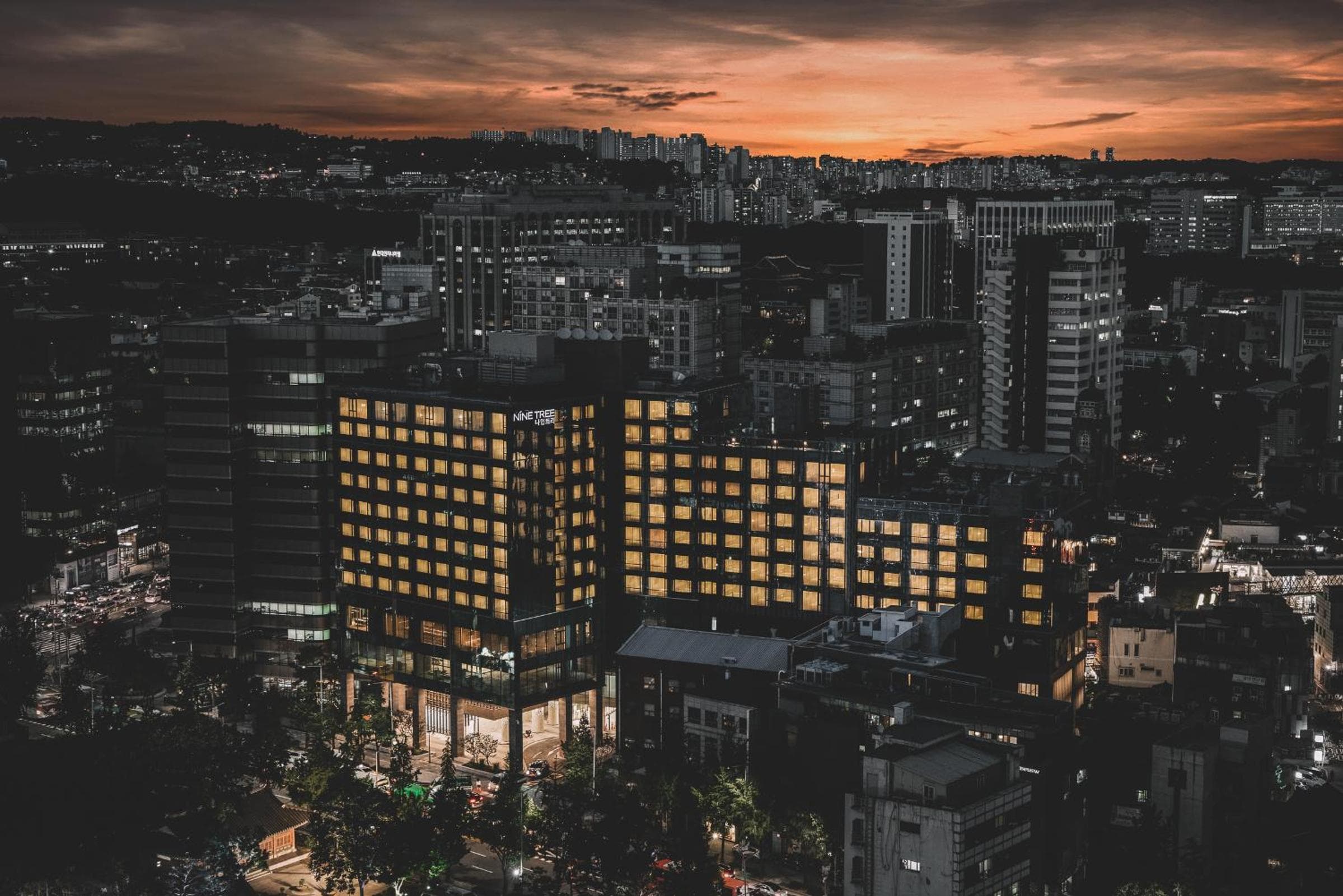 Nine Tree by Parnas Seoul Insadong