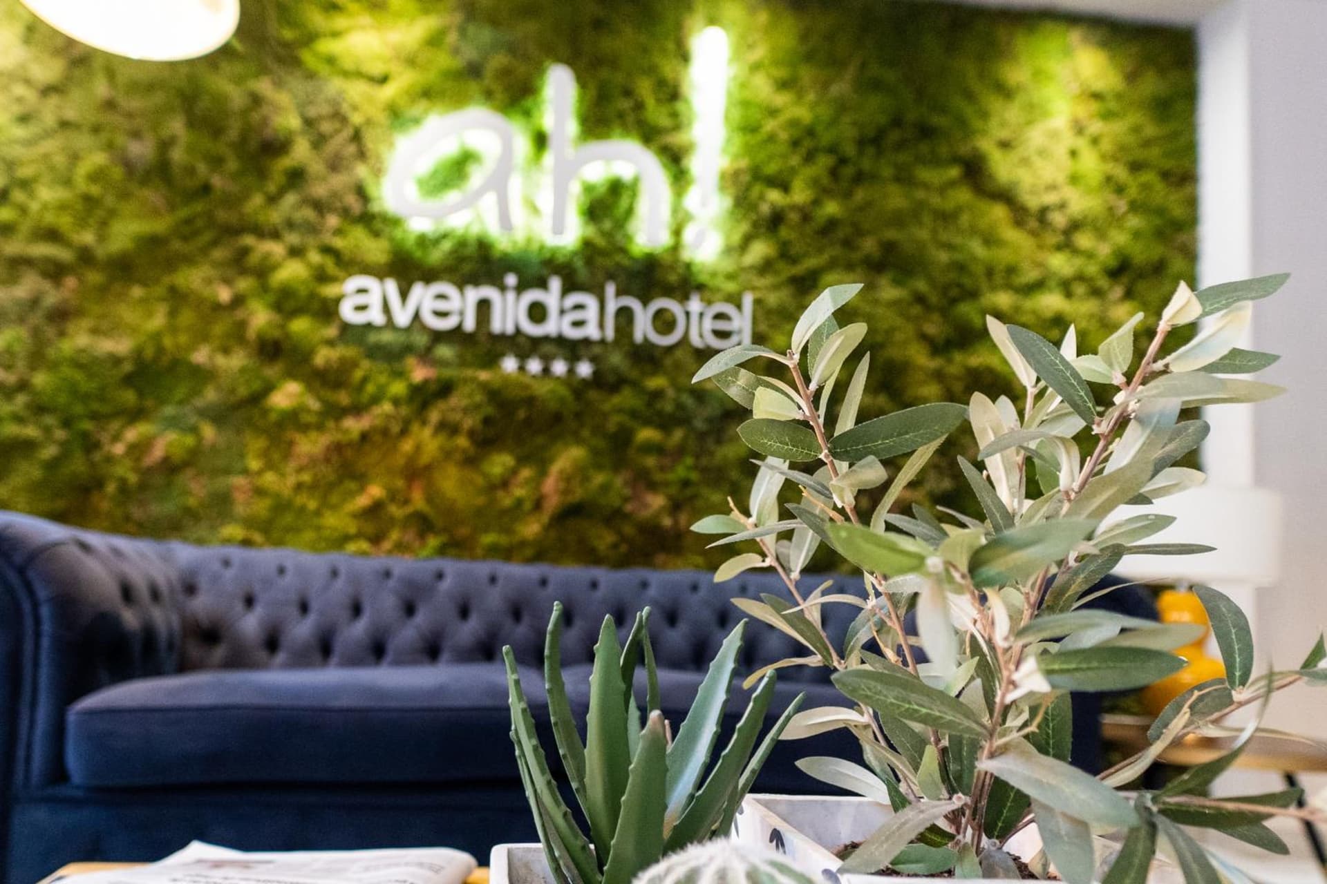Sercotel Avenida Almería