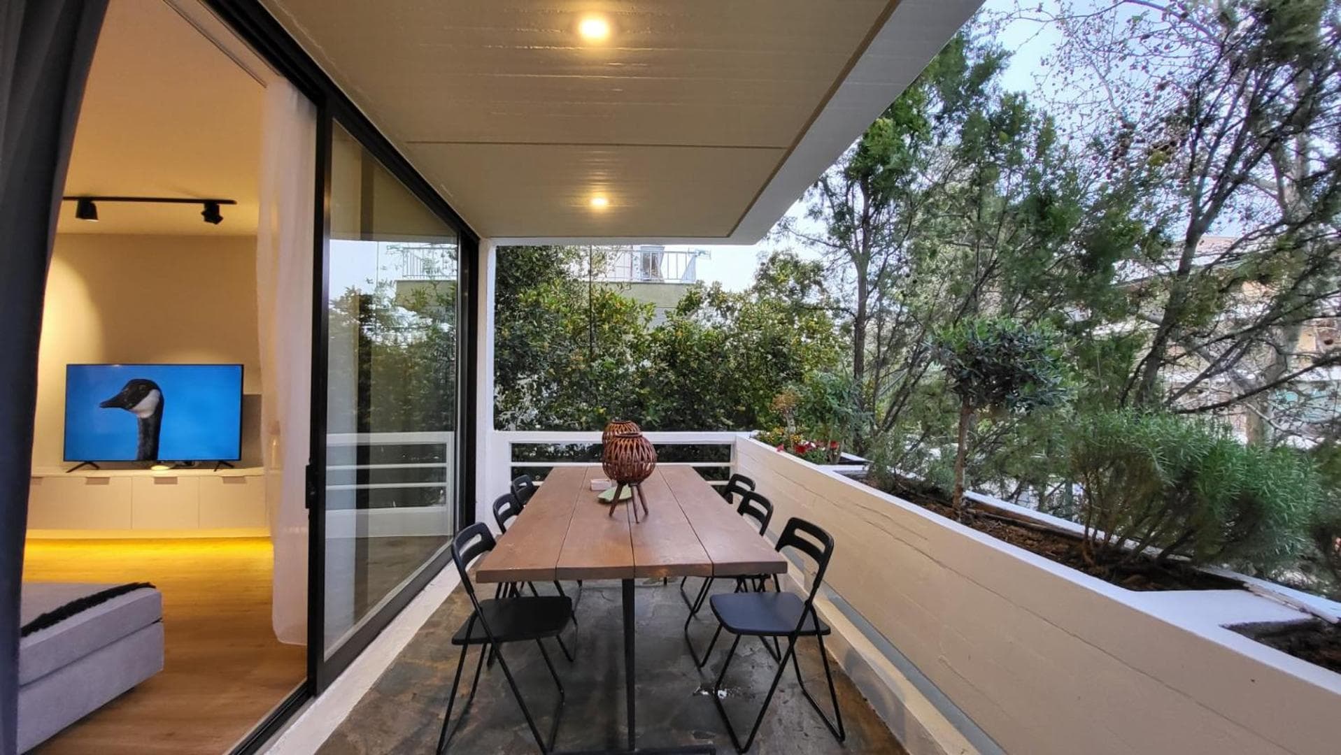 Vivo Apartments