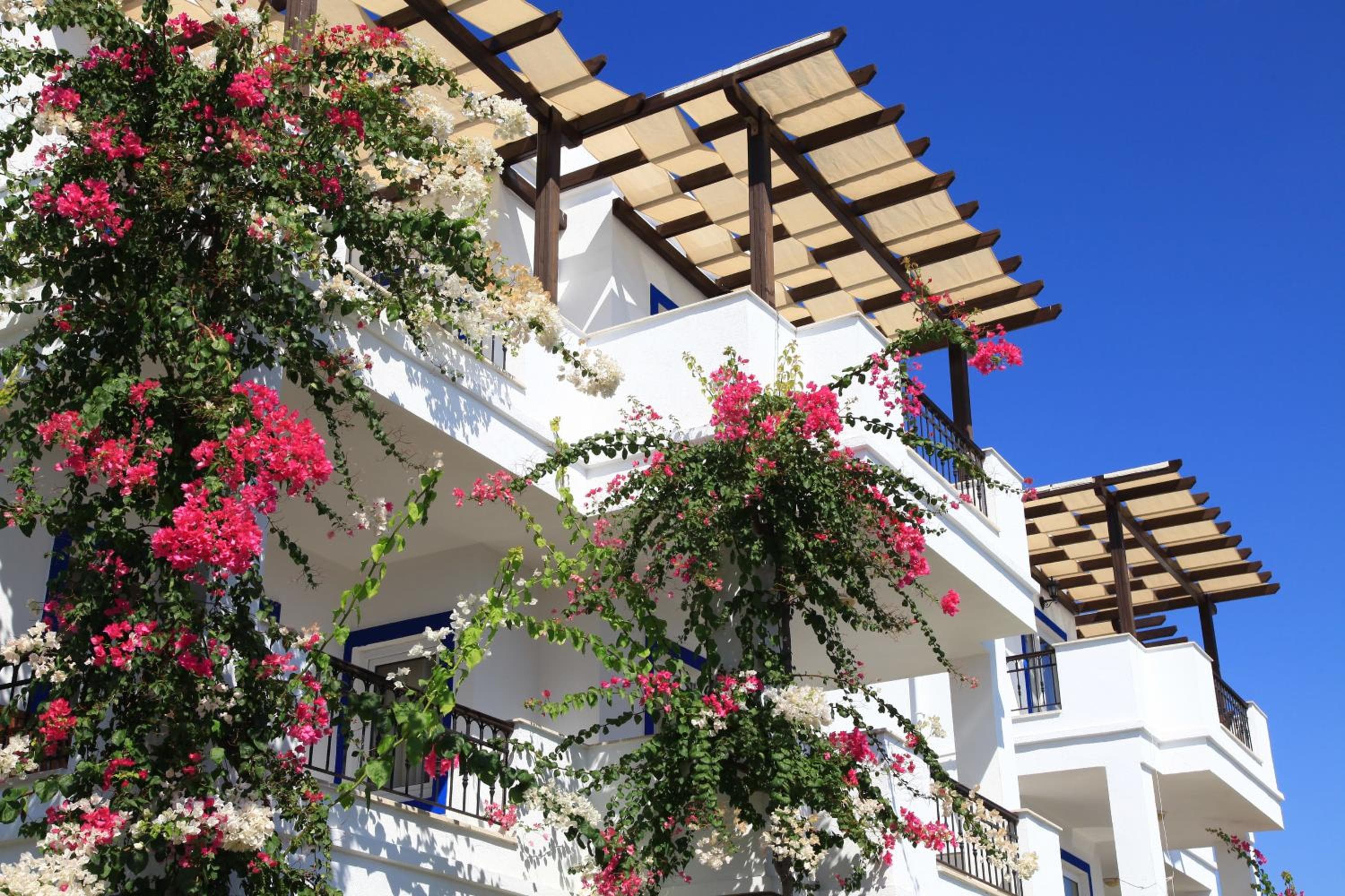 Aktur Residence