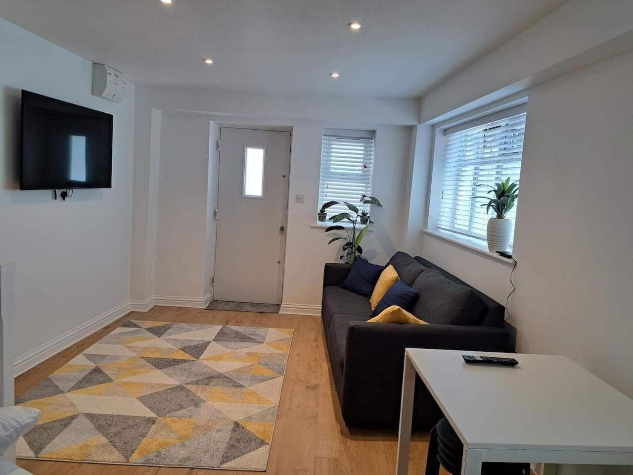 Modern city house