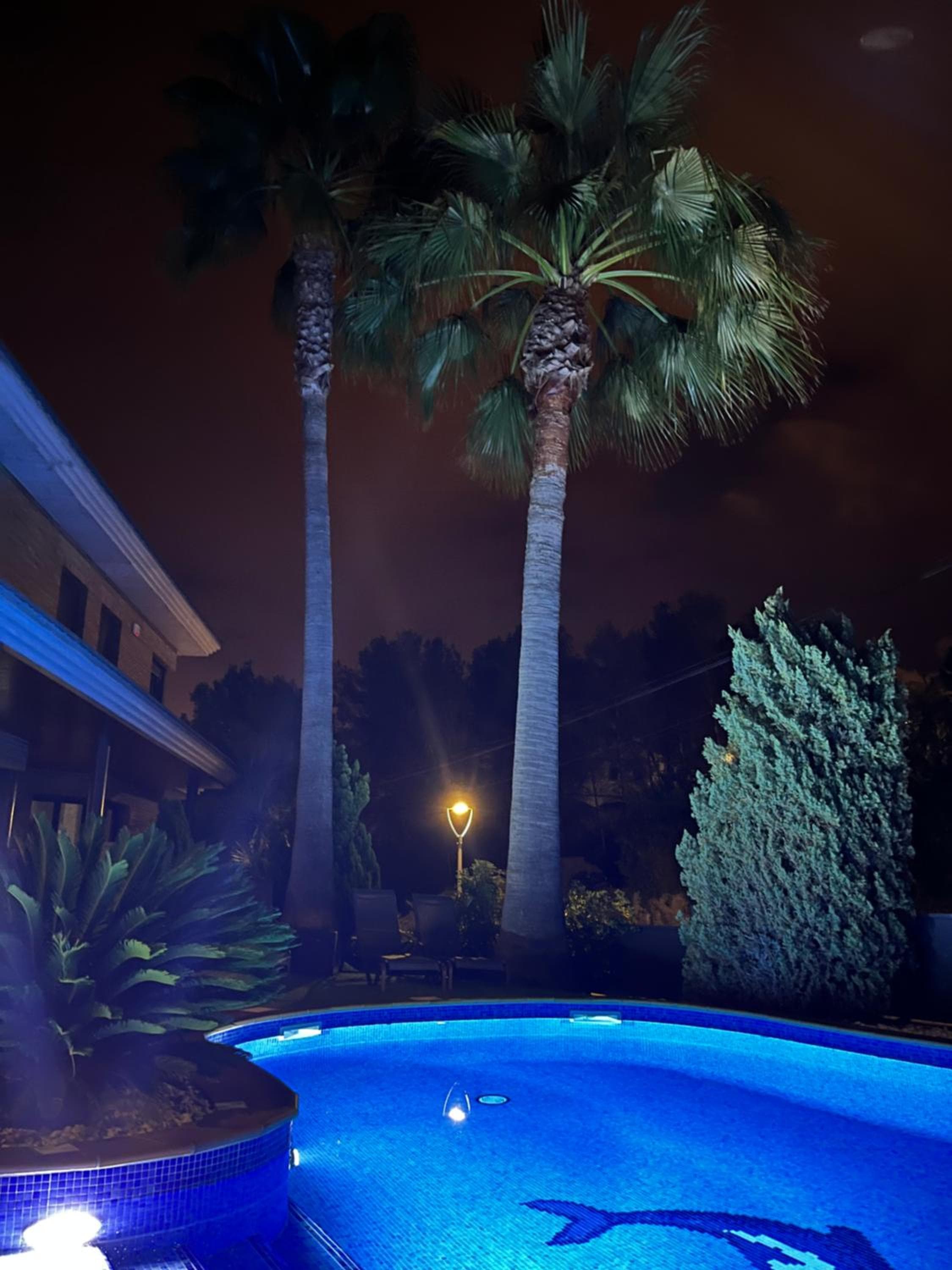 Washingtonia Villa near Sitges