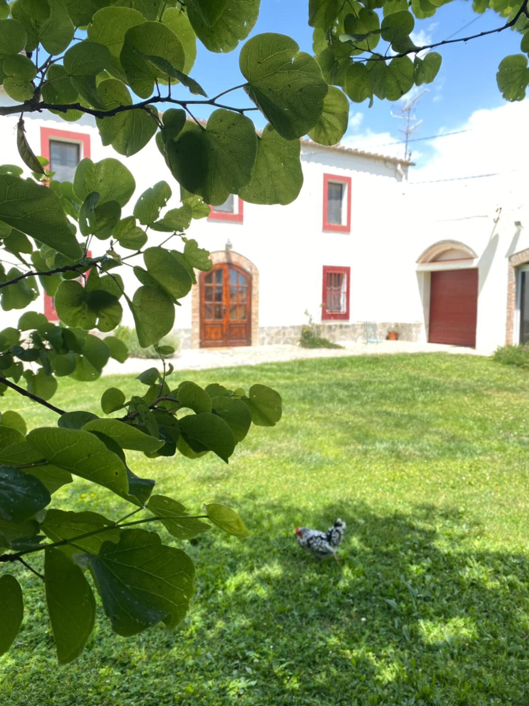 Can Teulera