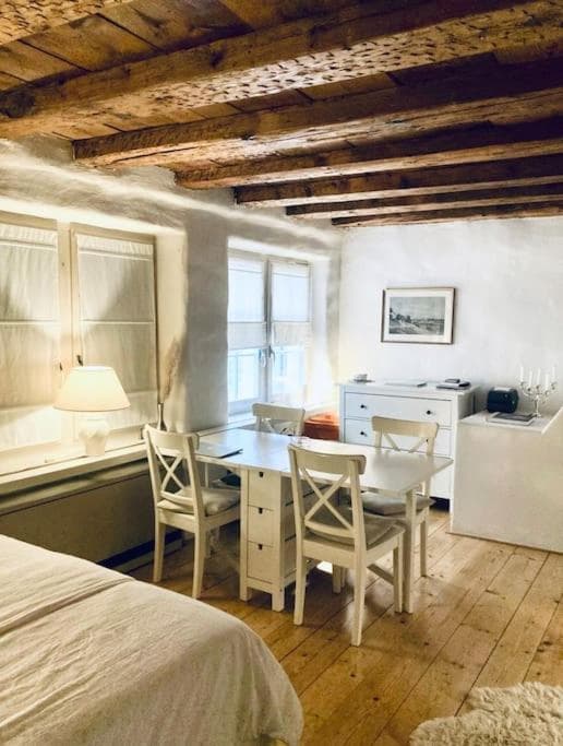 Historisches Chalet im Herzen von Zürich