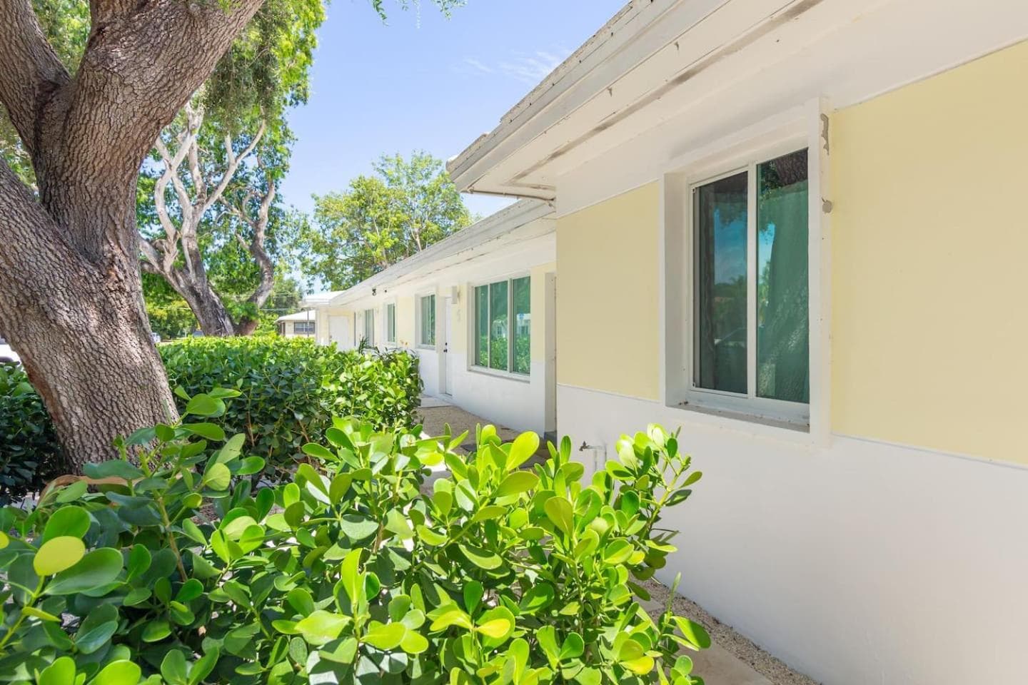 Newly Renovated Stylish Studio In El Portal #2