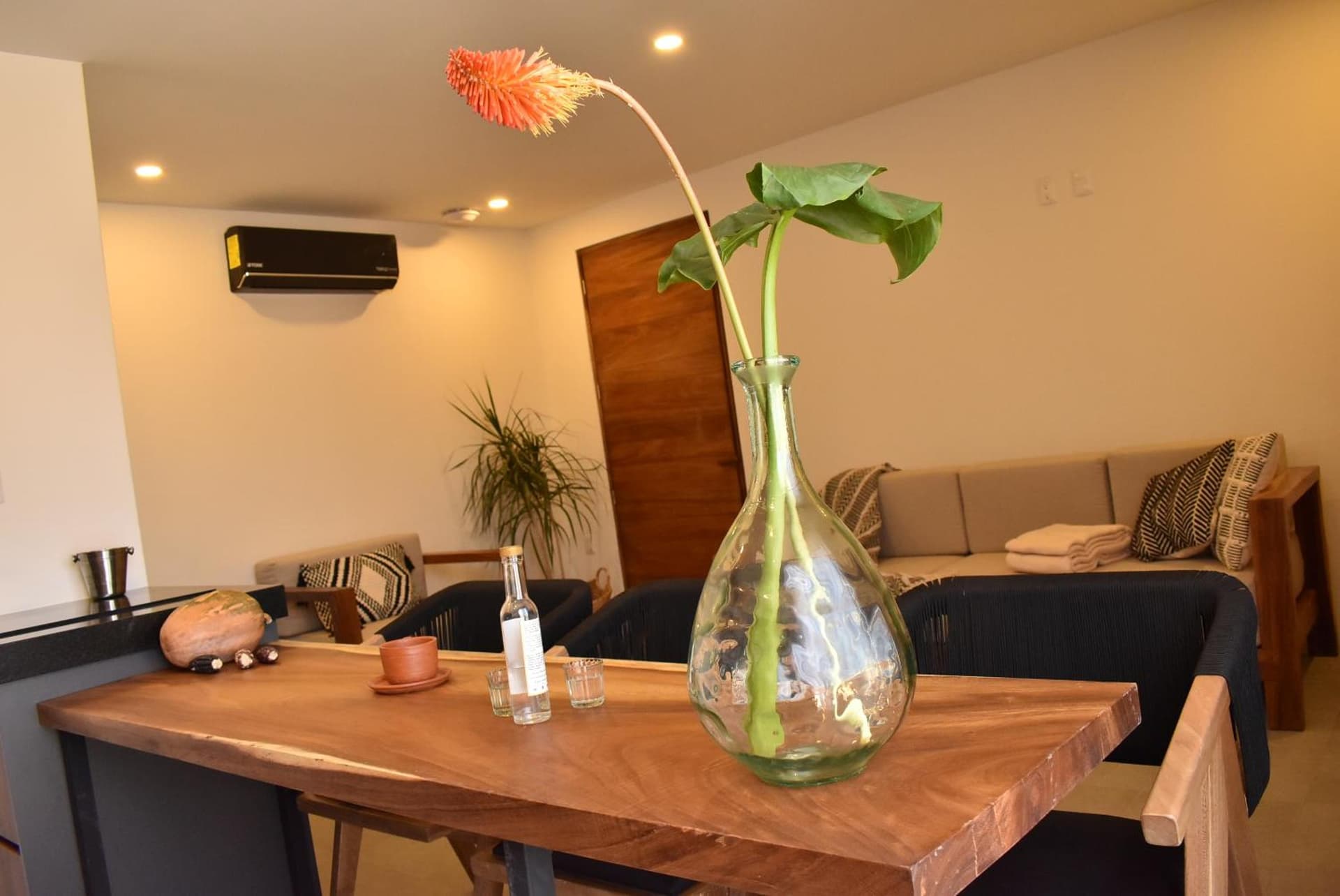 Punta Agave Suites