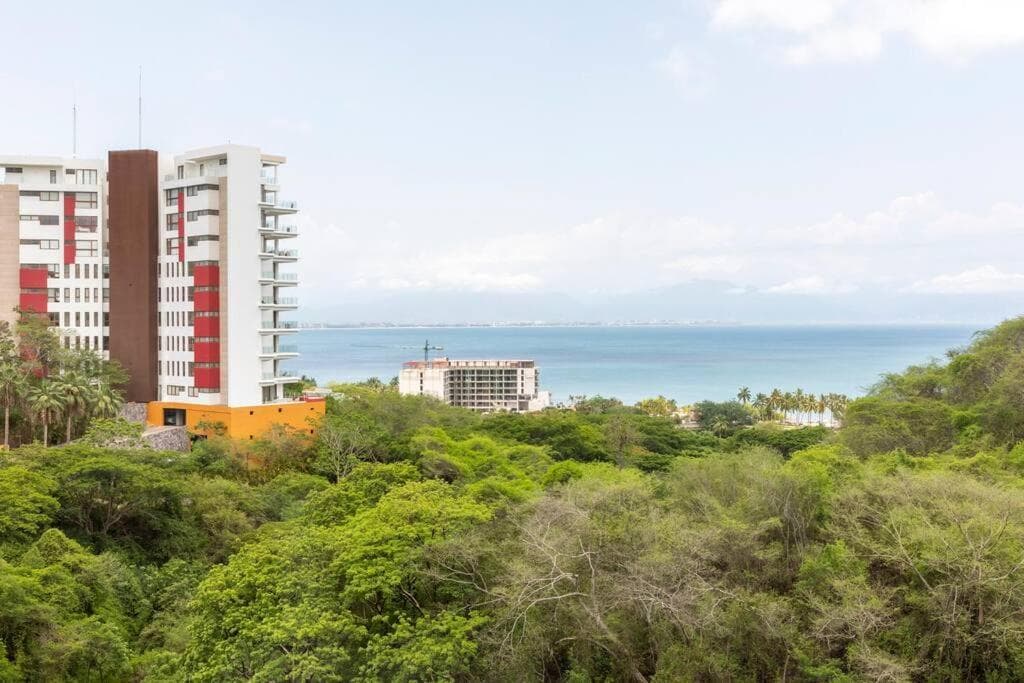 Jungle by Pardela, La Cruz de Huanacaxtle