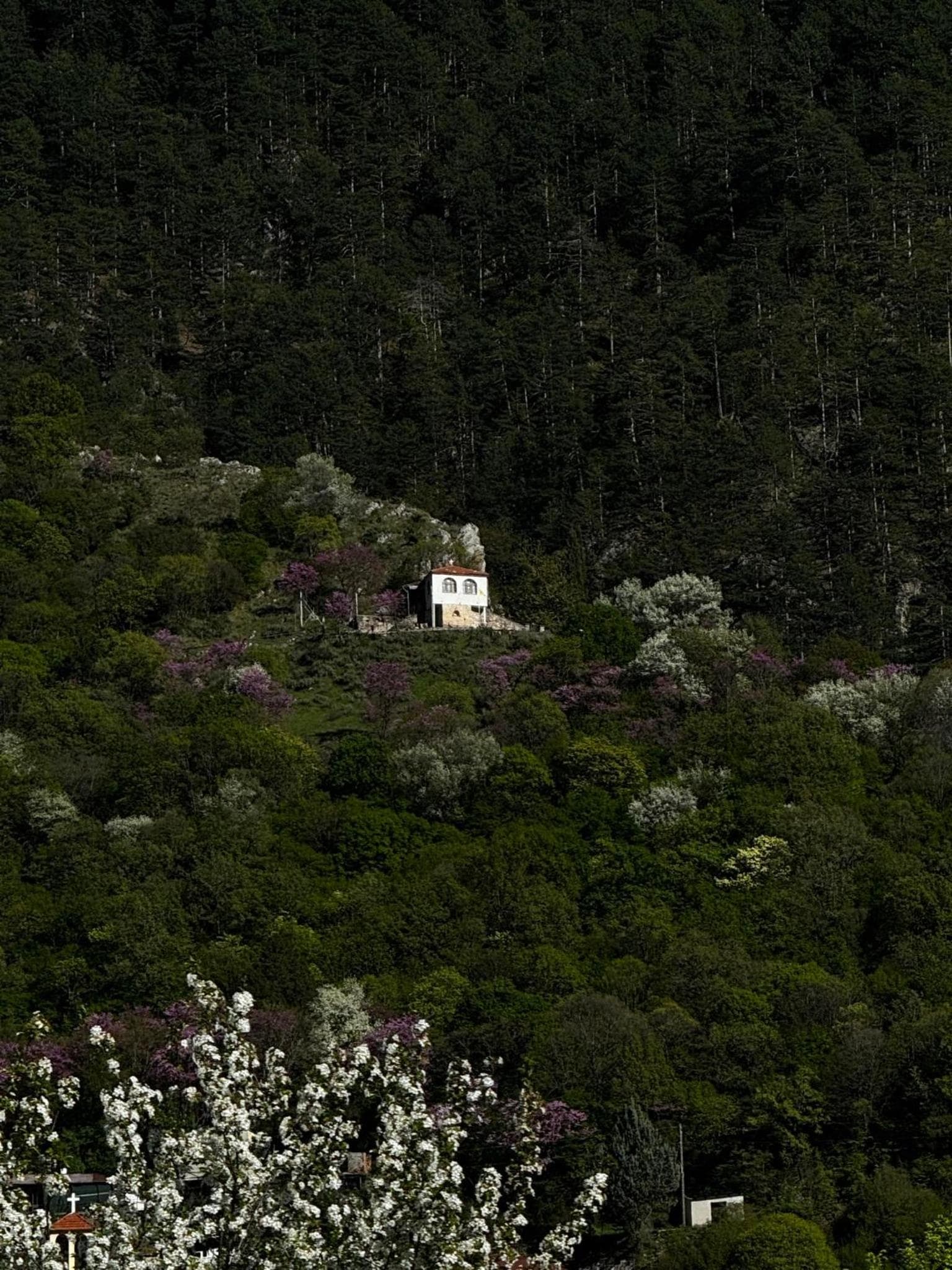 Mountain Serenity