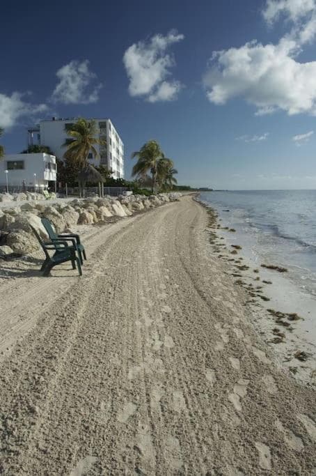 Oceanfront oasis with beach views & heated pool #34
