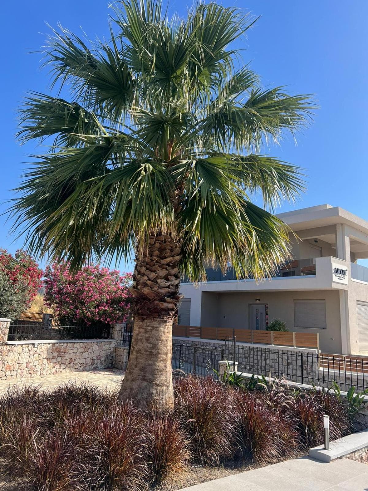 ARYVE Boutique Villa mit Akropolis- und Meerblick, Infinity-Pool und Designer-Interieur