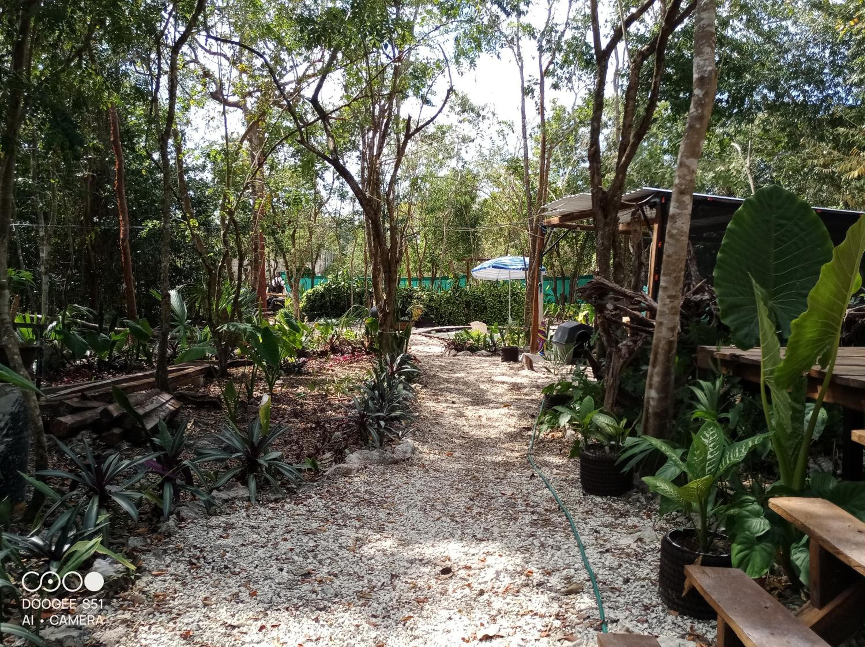 Cozumel Glamping