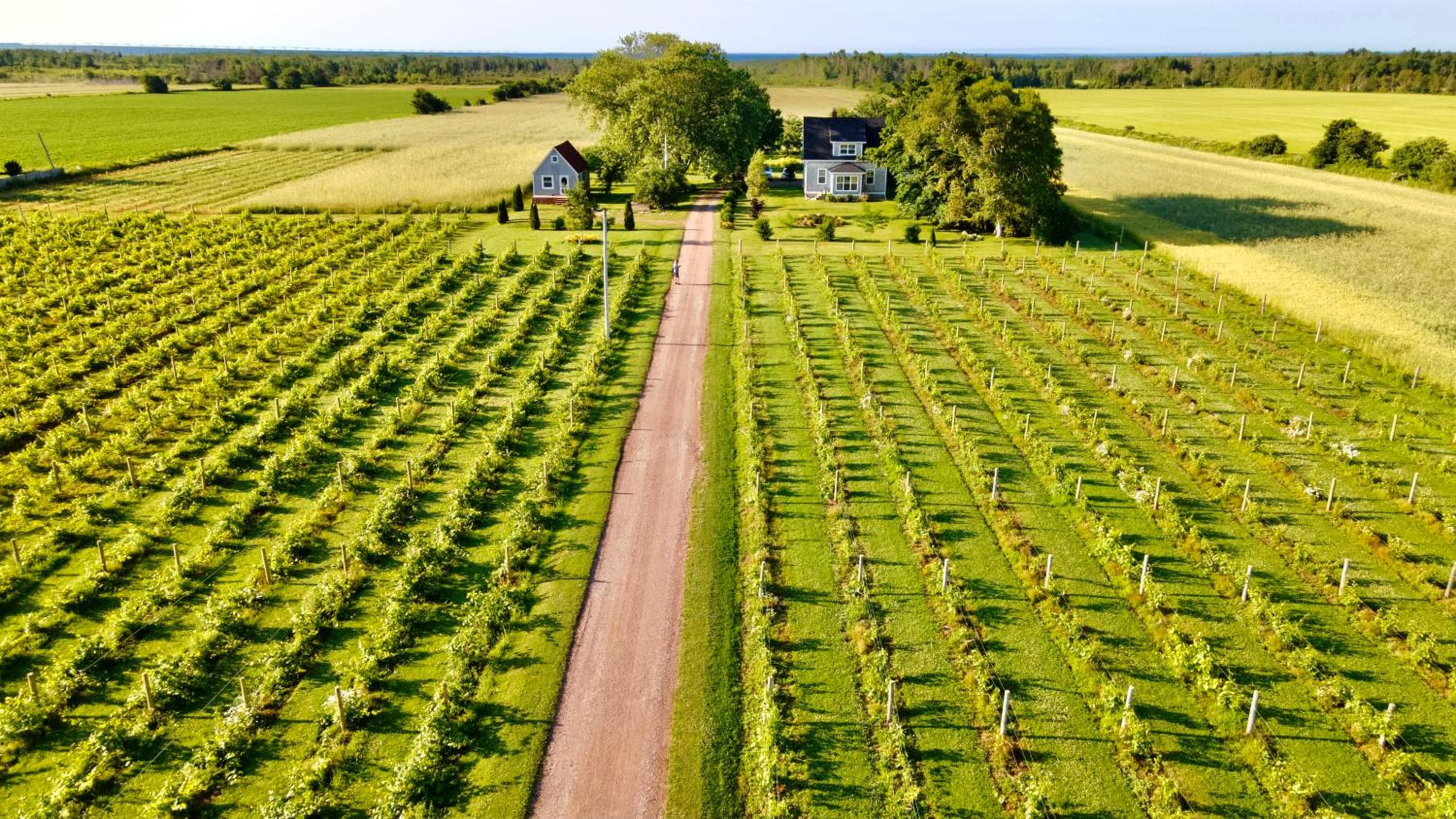 Sunbury Cove Winery
