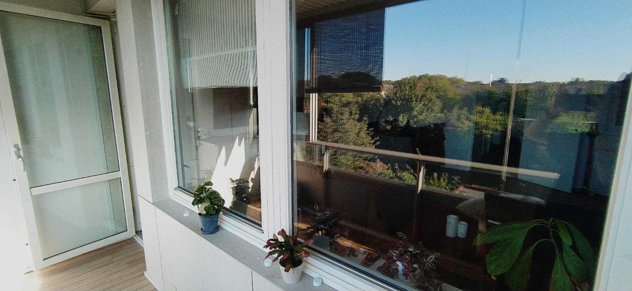 Sunny, spacious, and quiet apt