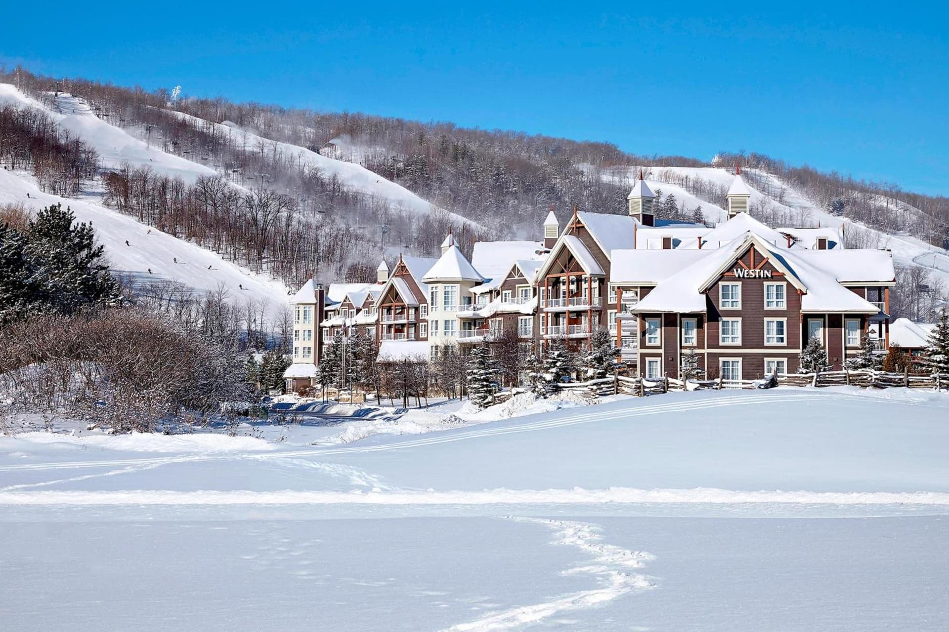 The Westin Trillium House, Blue Mountain