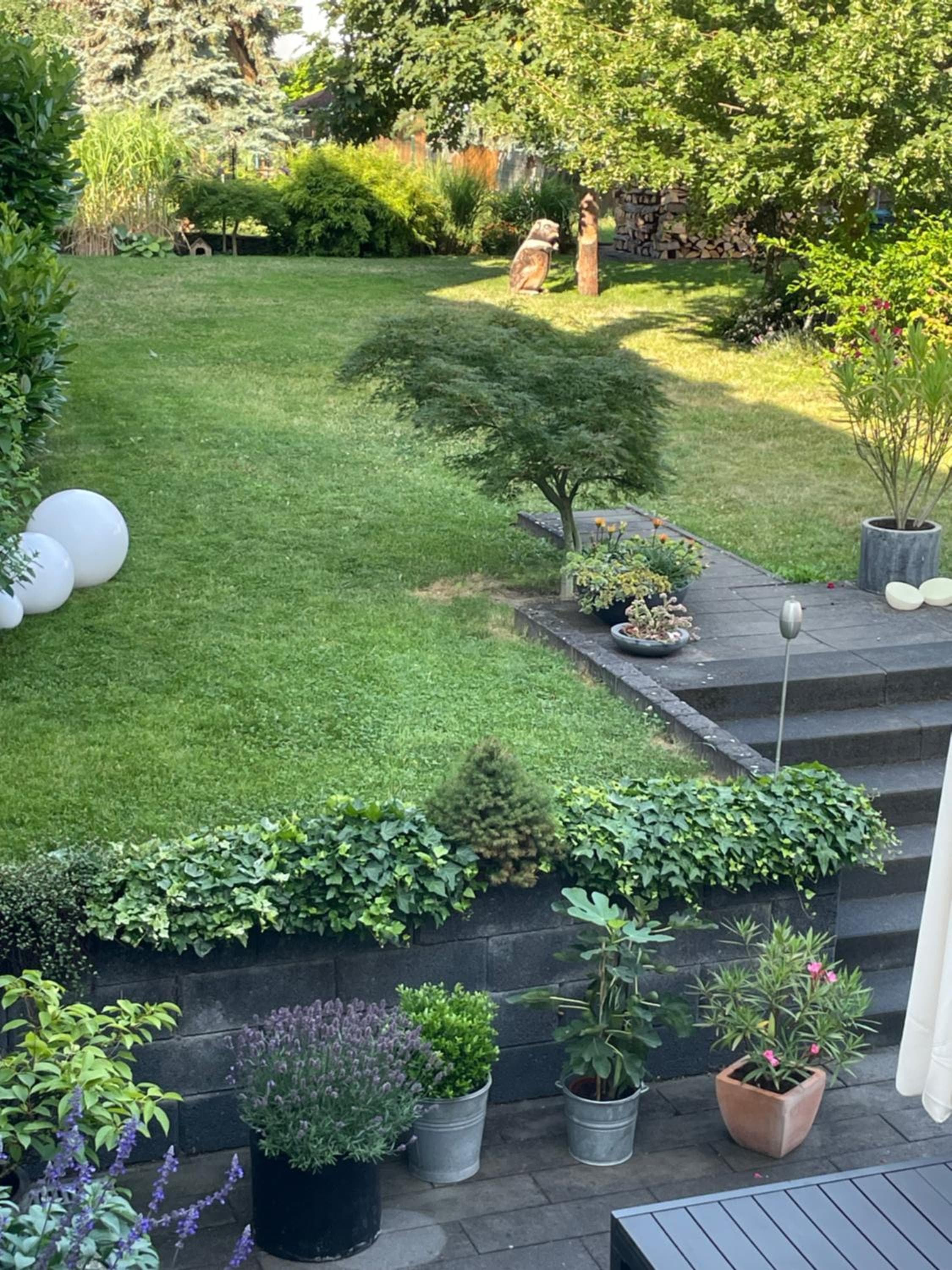 Ferienwohnung Dieblich an der Mosel