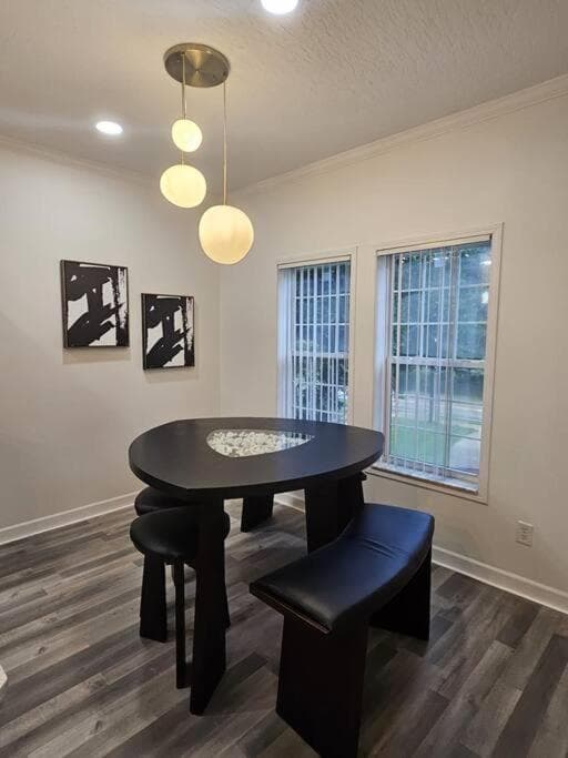 Beautiful And Modern, Valrico Apartment