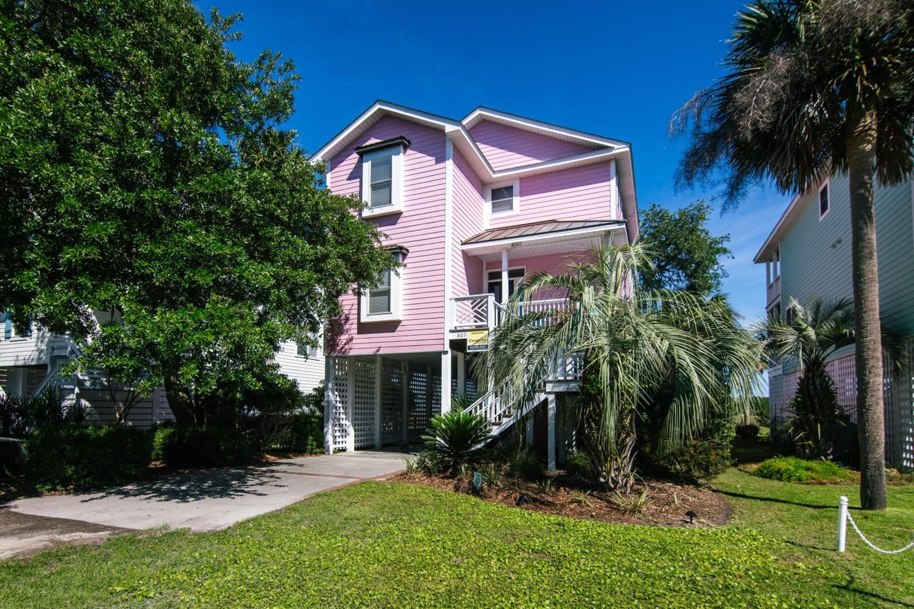 The Pink Flamingo
