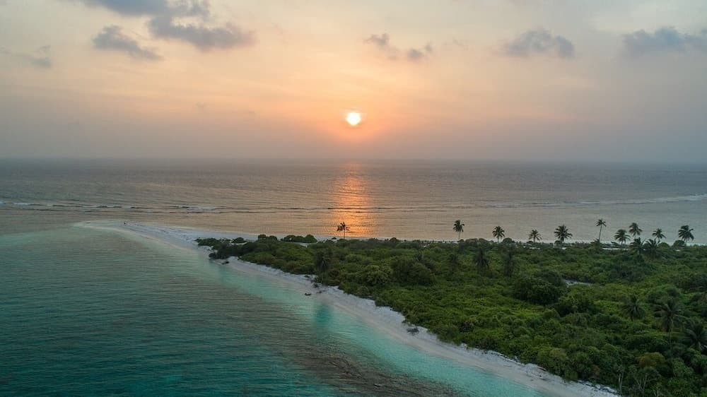 South Ari Inn