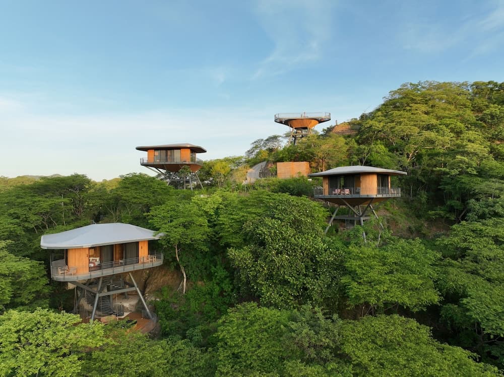 Suitree Experience Hotel